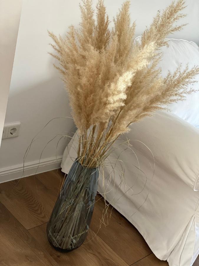 Ferienwohnung Mit Balkon Und Garten Og Flensburg Zewnętrze zdjęcie